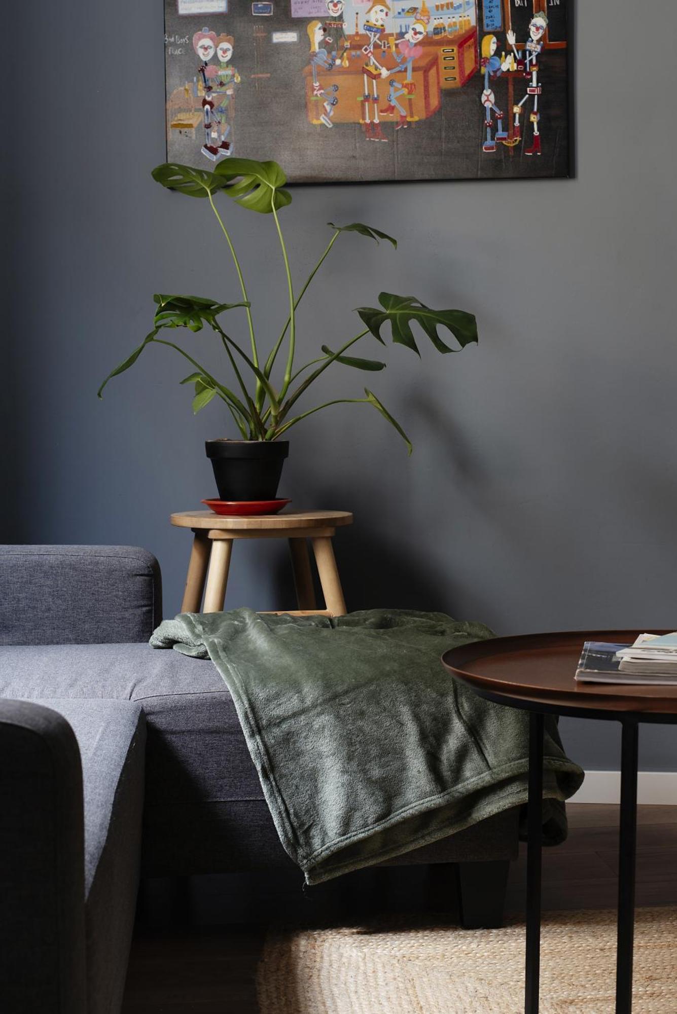 Diseno Y Confort En El Centro 桑坦德 外观 照片